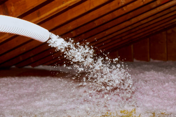 Best Insulation Installation Services in Rusk, TX